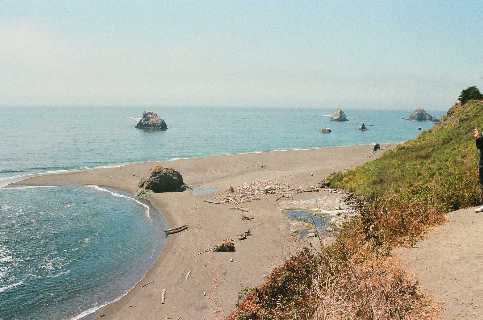 Secluded beach with sea stacks and driftwood, Northern California coast