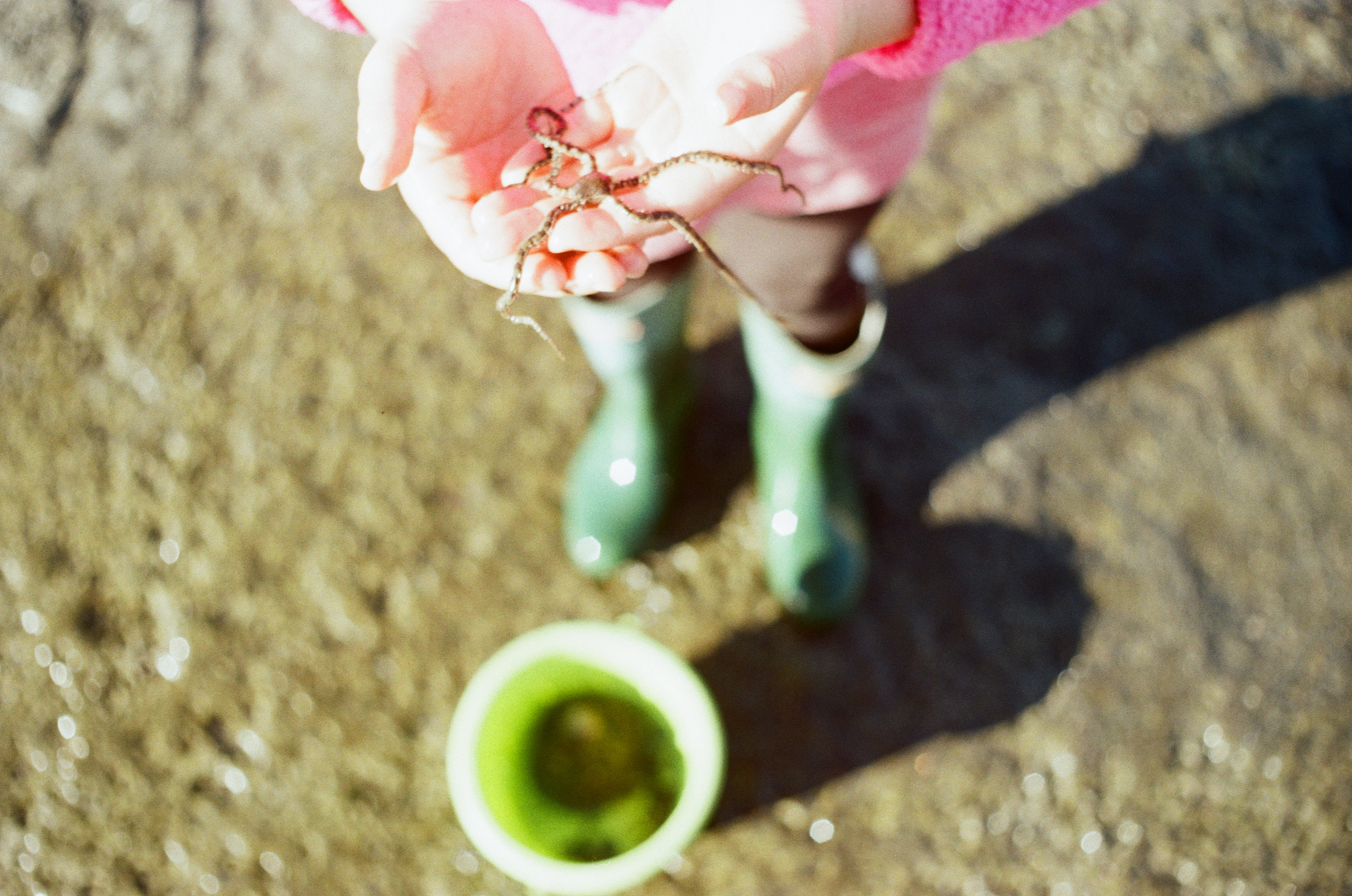 Child in pink and green boots holding a tiny starfish