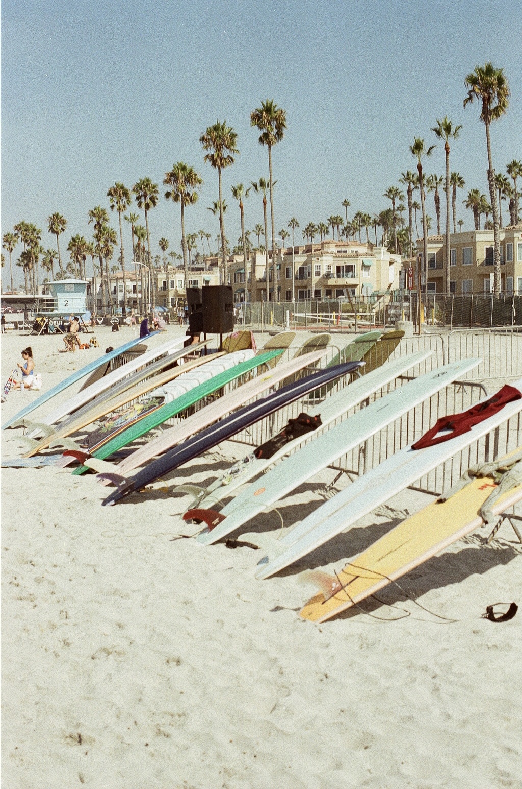 Rows of colorful longboards leaning against a fence on a California beach with palm trees