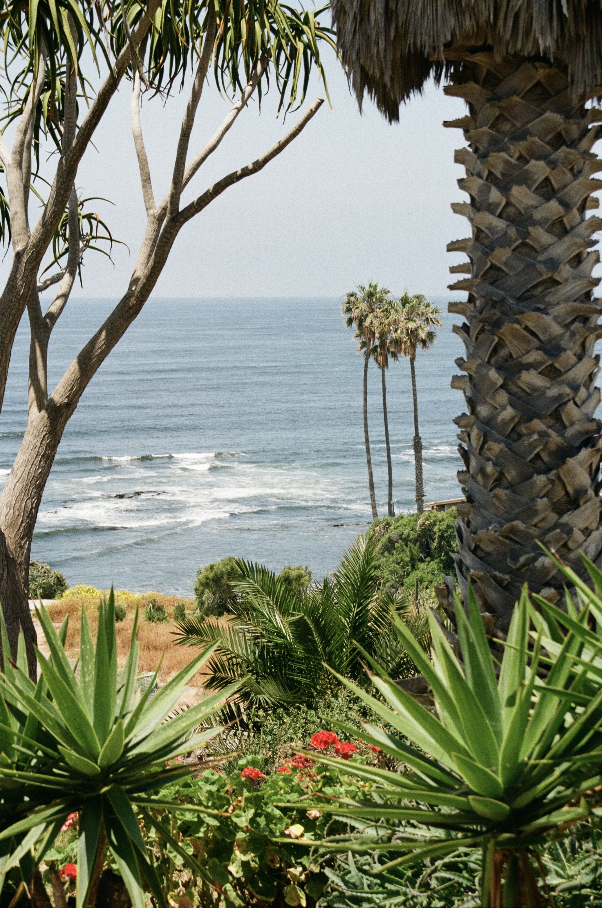 Mexico in Mexico