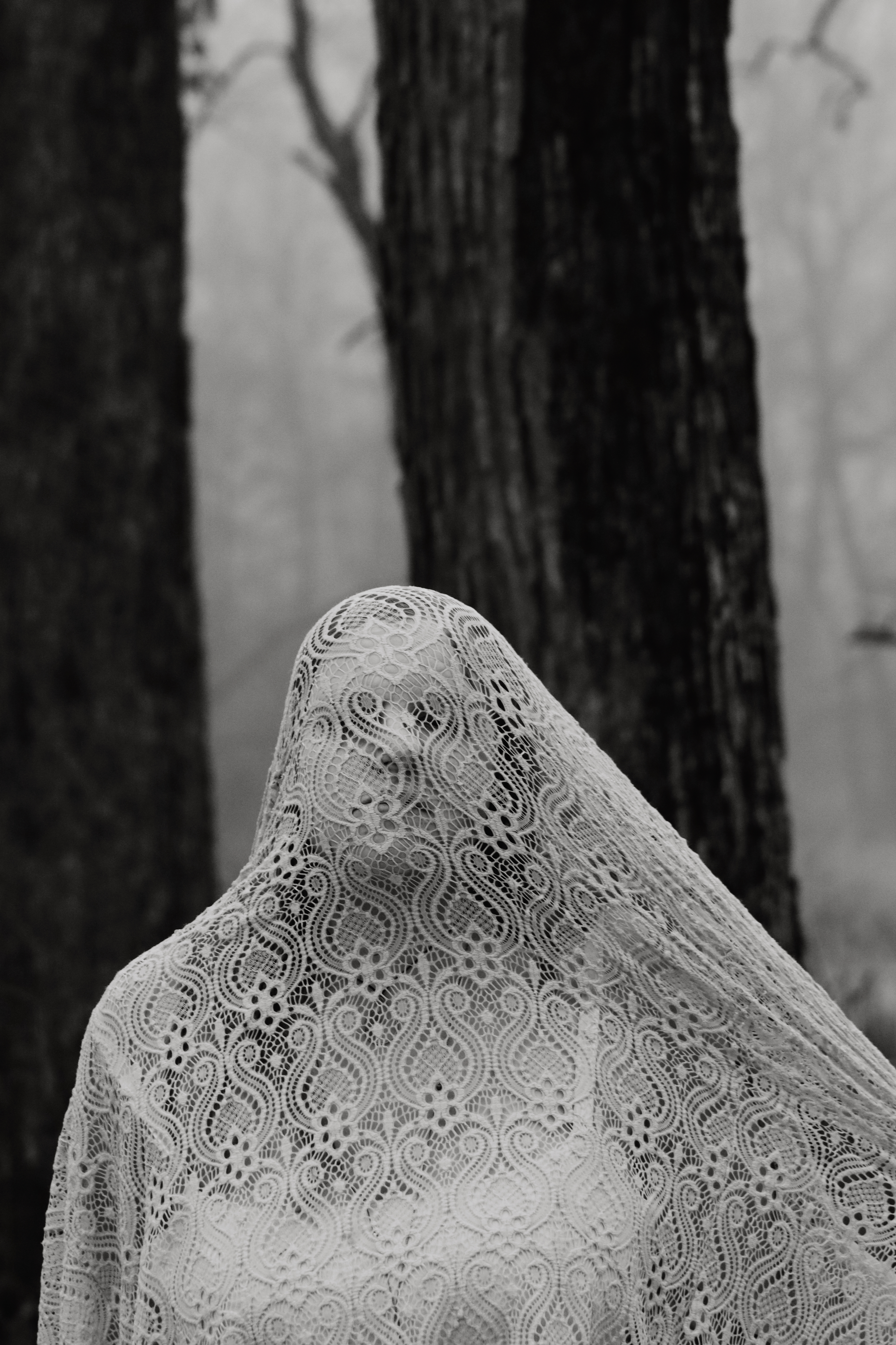 Figure draped in white lace veil standing among misty forest trees, black and white