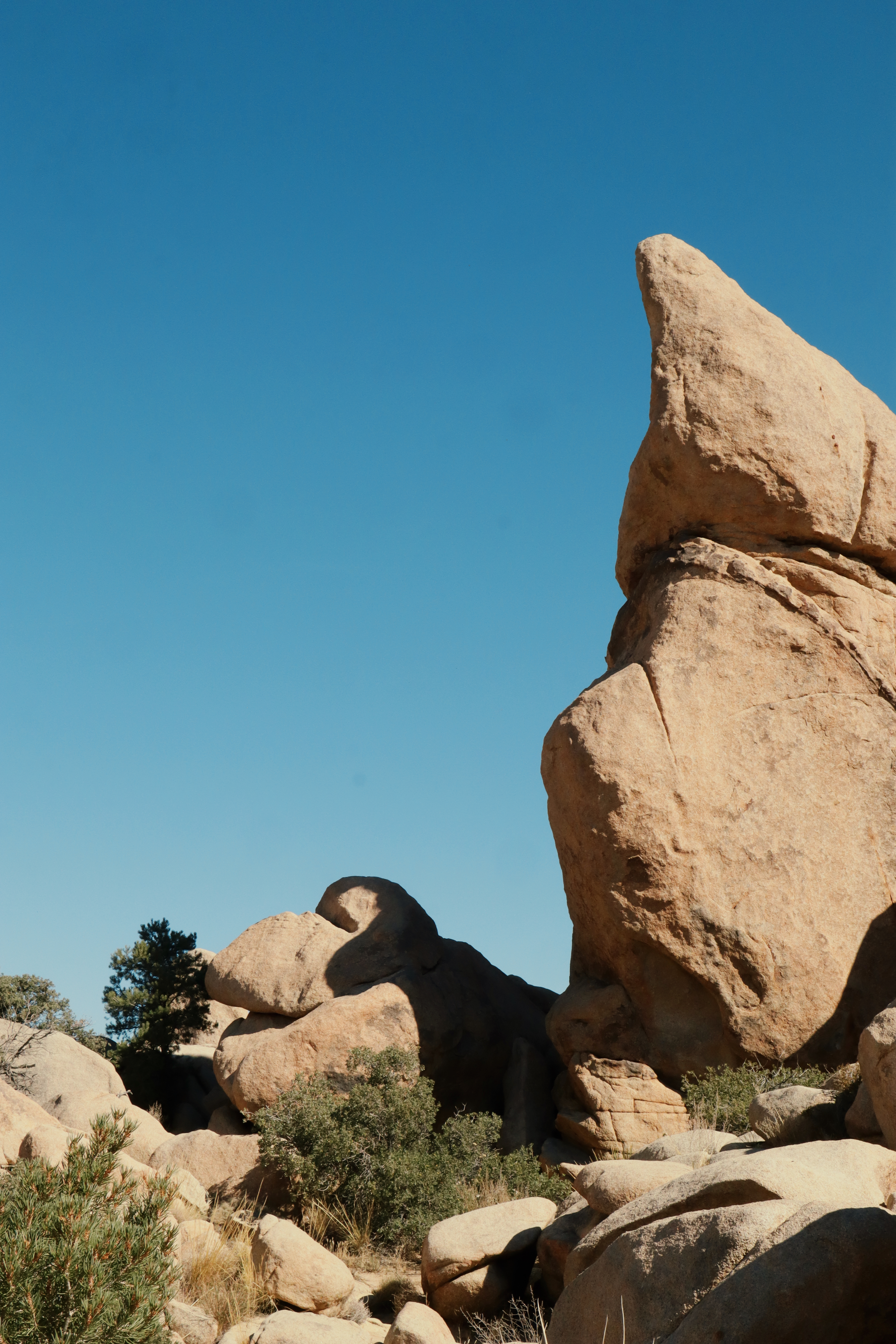 Joshua Tree stone giants