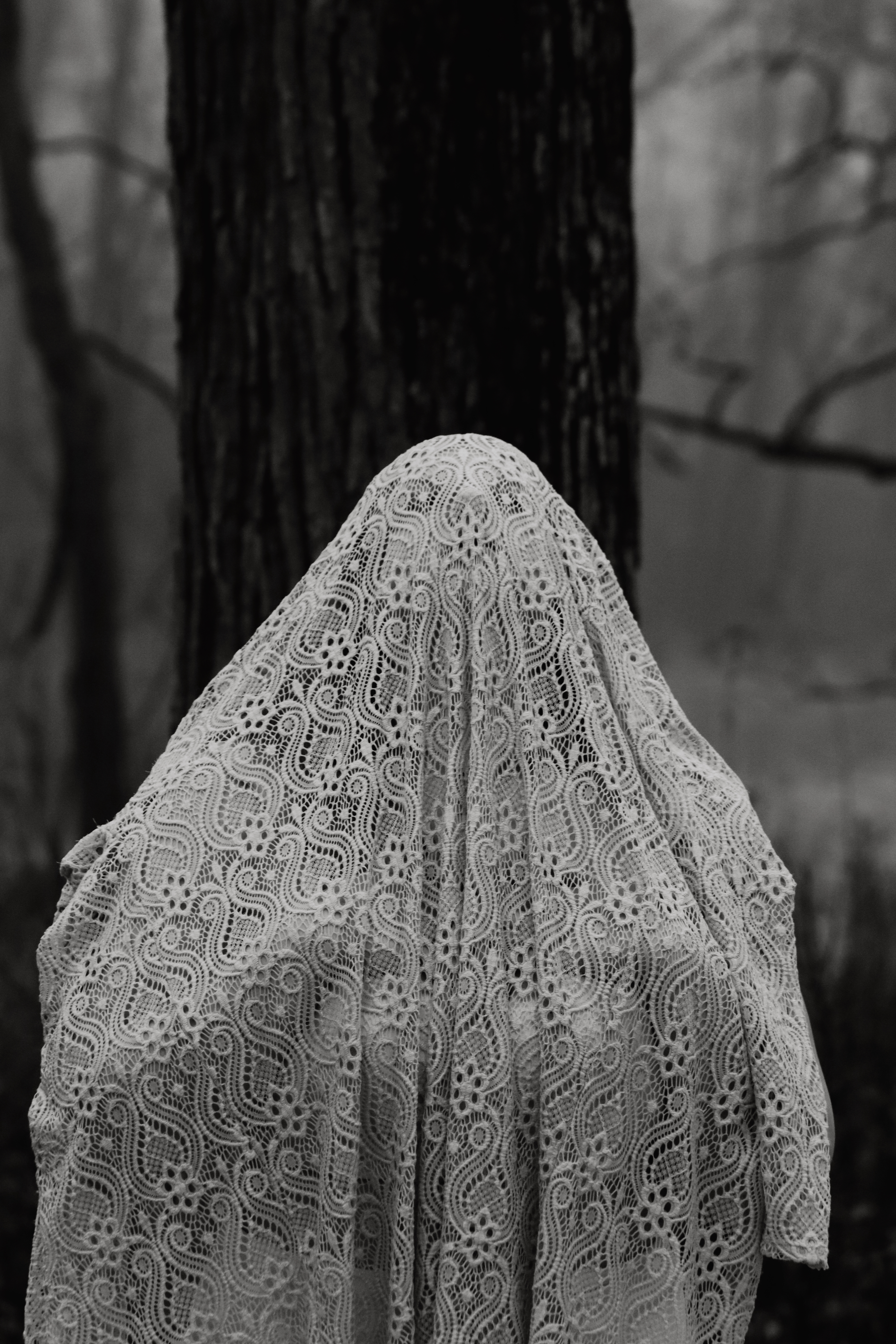 Figure fully covered in lace veil standing before a tree in misty forest, black and white