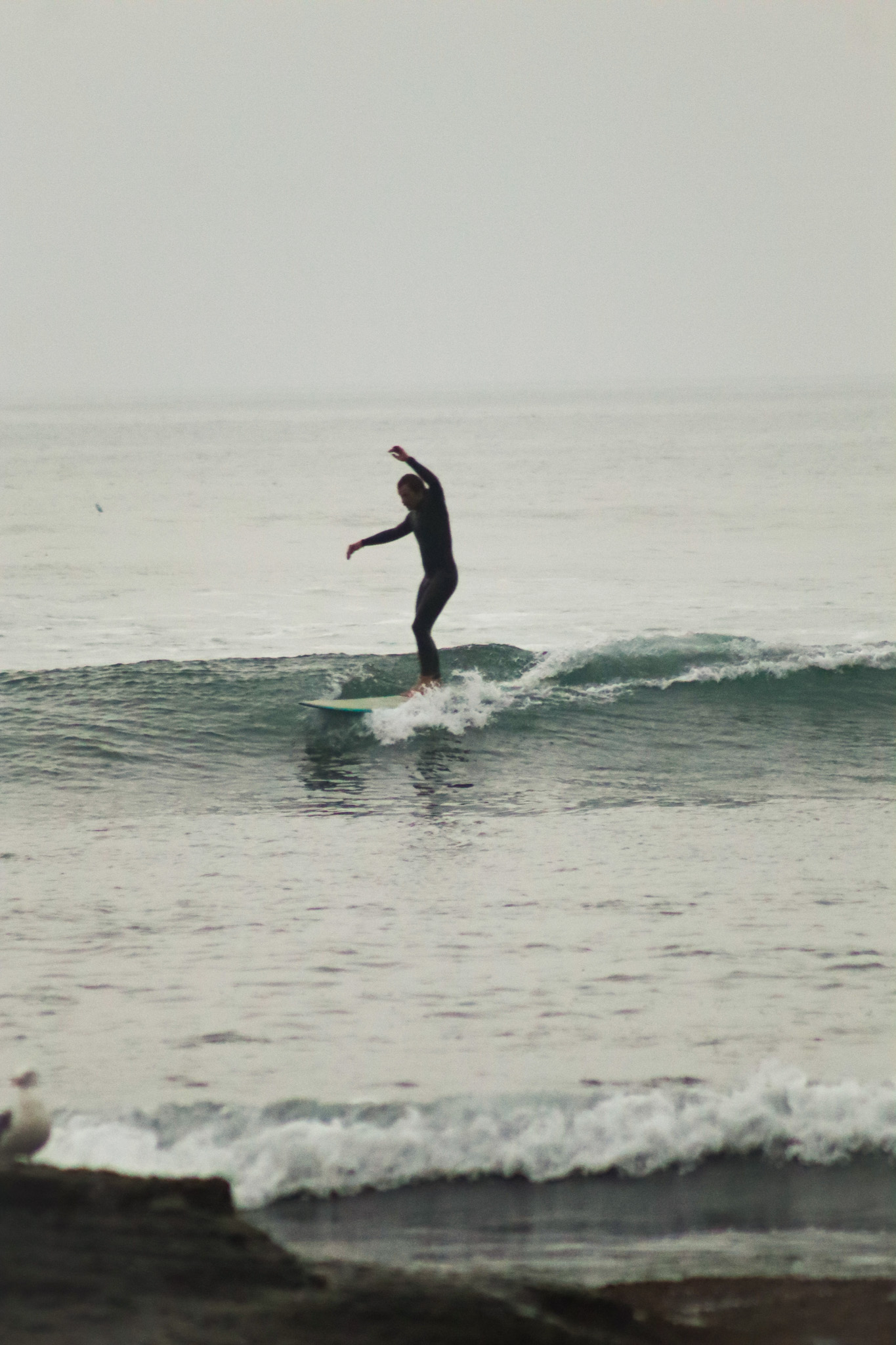 Surfer dancing on a longboard, misty morning